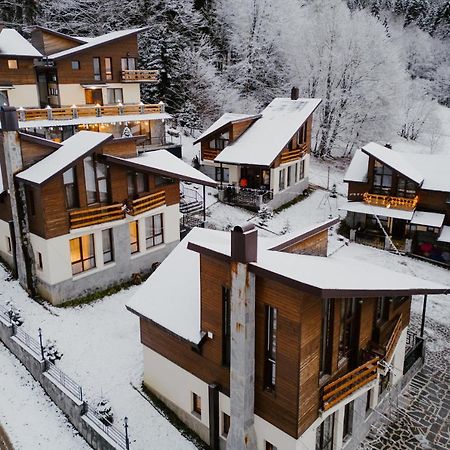 7 Cottage In Bakuriani Εξωτερικό φωτογραφία